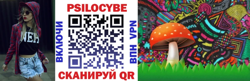 Галлюциногенные грибы Psilocybine cubensis  Новосиль 