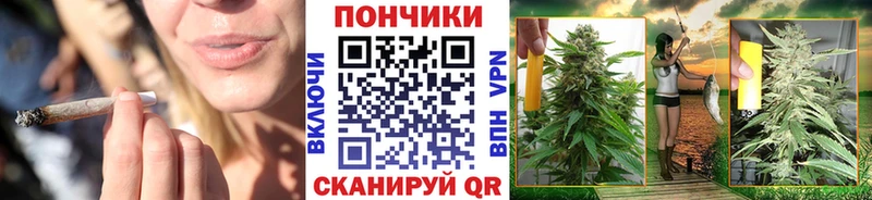 Конопля сатива  Новосиль 